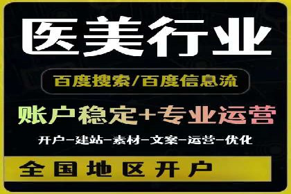 SEM推广策略：成功案例解析
