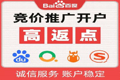 SEM营销推广案例分析：行业领跑者如何打造品牌